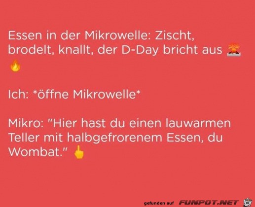 Typisch Mikrowelle