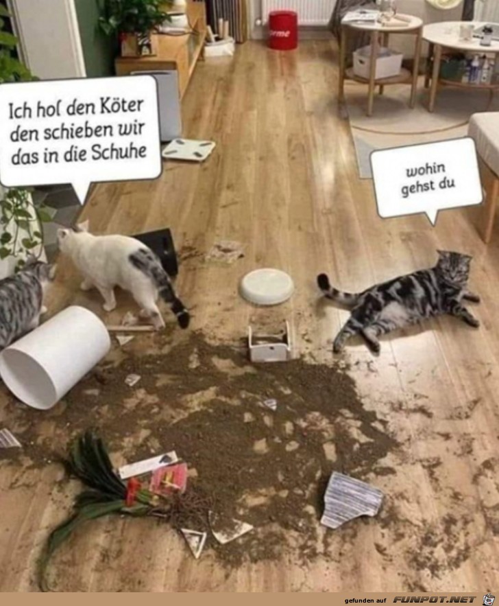 Wir schieben es auf den Hund