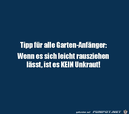 Toller Tipp