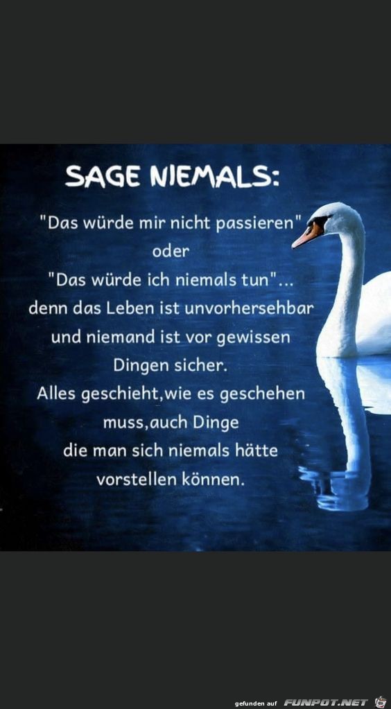 Sage niemals