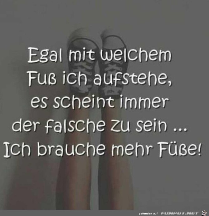 Mehr Füsse Mehr Füsse