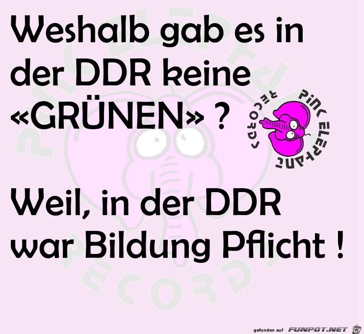 0339 - DDR