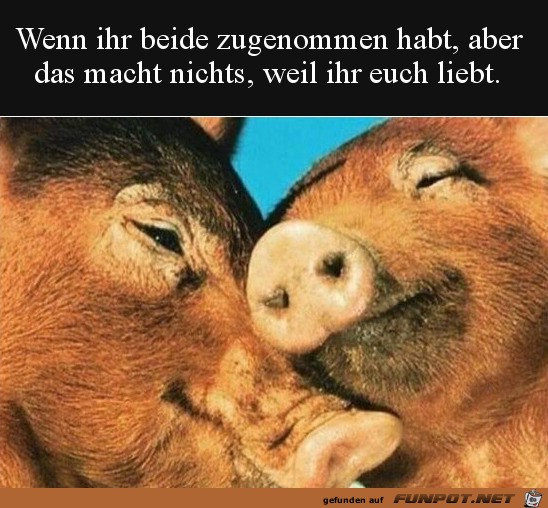 wie lieb