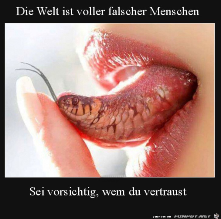 Falsche Menschen