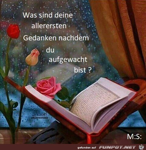 Was sind deine aller ersten Gedanken