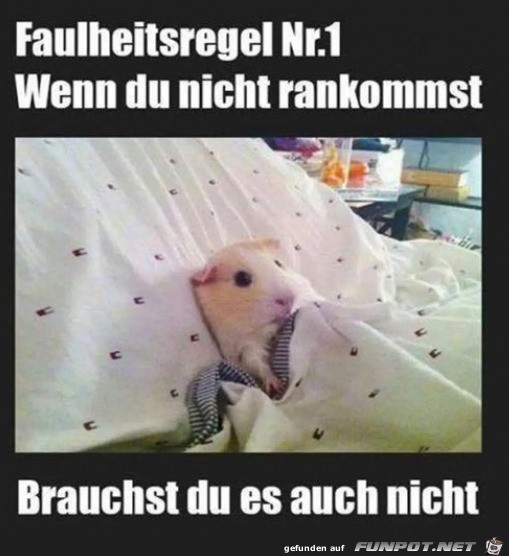 Faulheitsregel