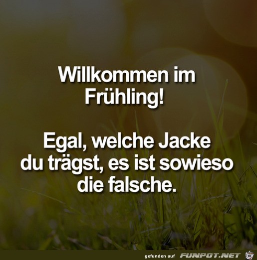 Die falsche Jacke