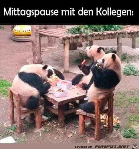 Essen mit Kollegen