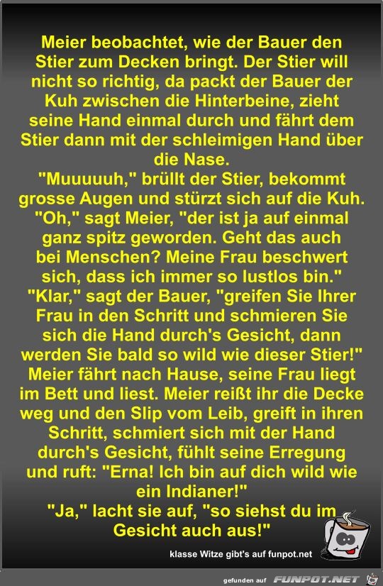 Meier beobachtet, wie der Bauer den Stier zum Decken bringt Meier beobachtet, wie der Bauer den Stier zum Decken bringt