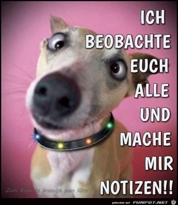 Ich beobachte euch