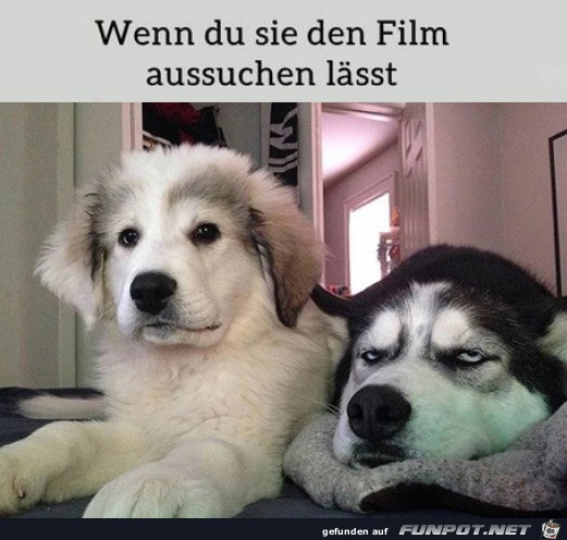 Wenn sie den Film raussucht