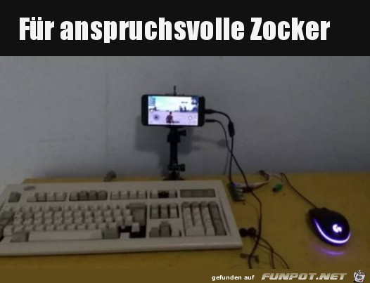 Zocker am Start