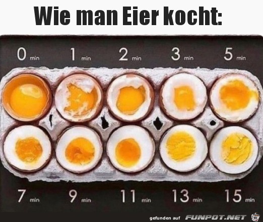 Eier kochen