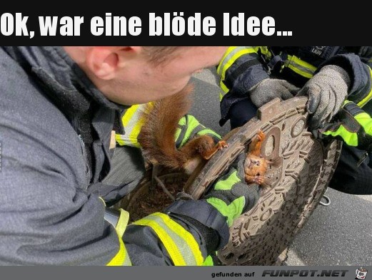 War eine blde Idee