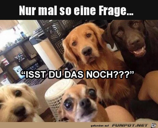 Berechtigte Frage