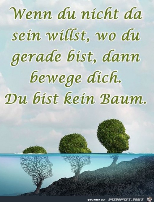 Beweg dich