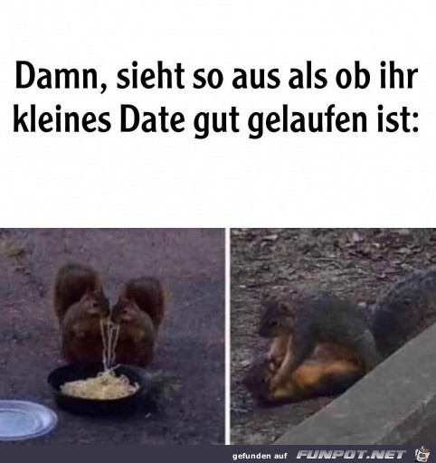 Klasse Date