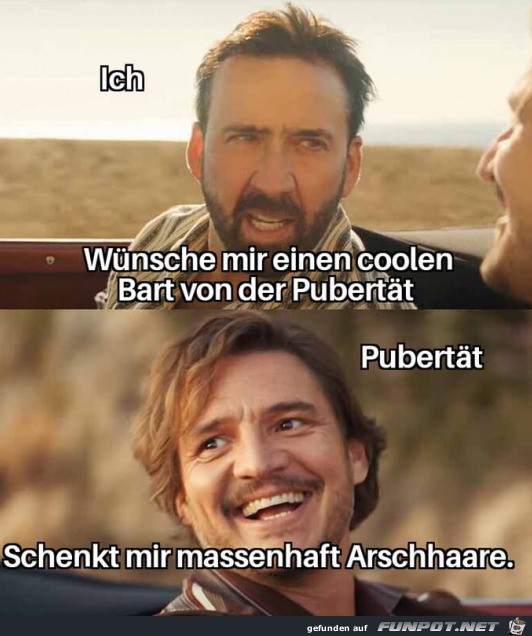 Die Pubertt