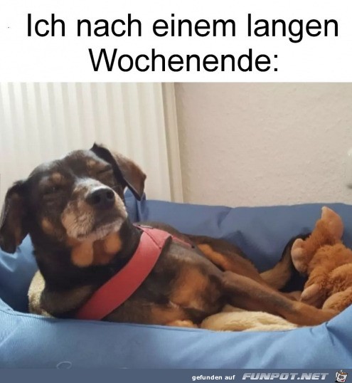 Nach einem langen Wochenende