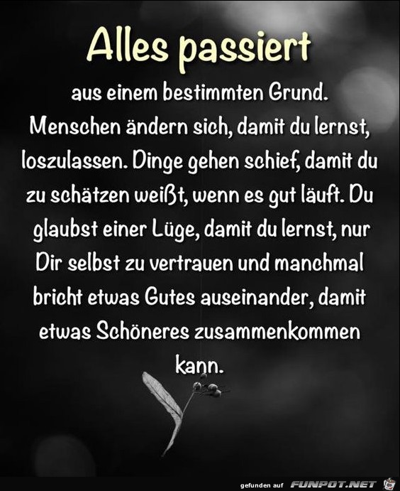 Alles pasiert