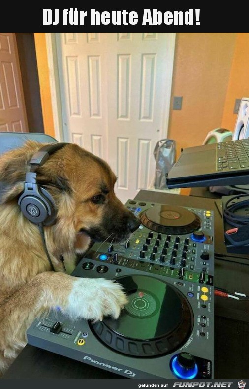 Neuer DJ