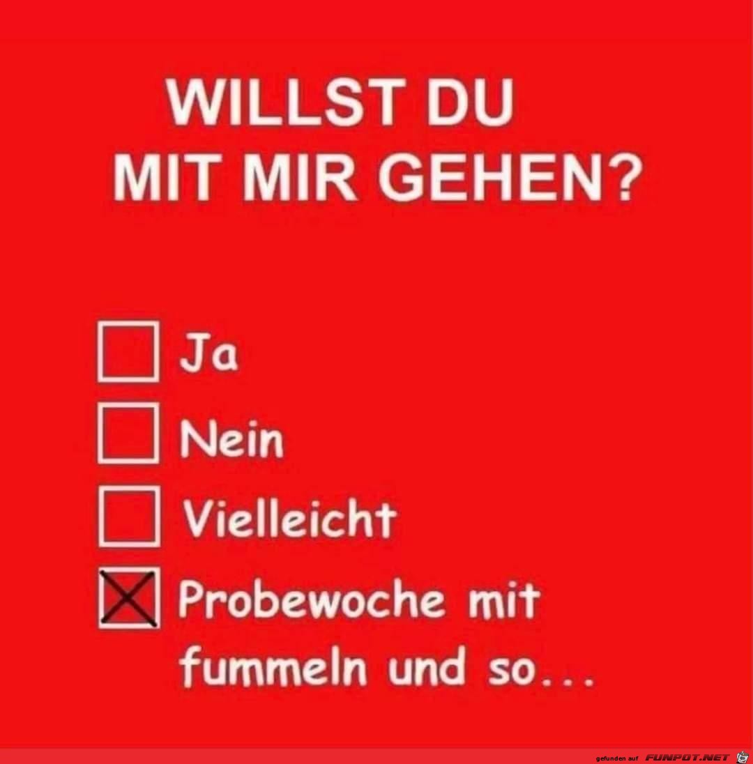 Willst du