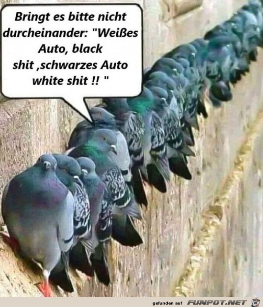 Kurze letzte Einweisung