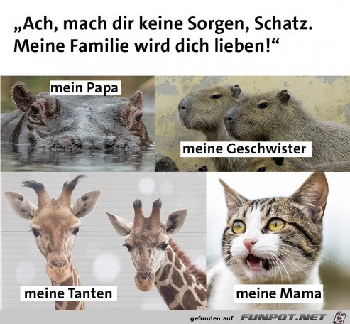 Meine Familie