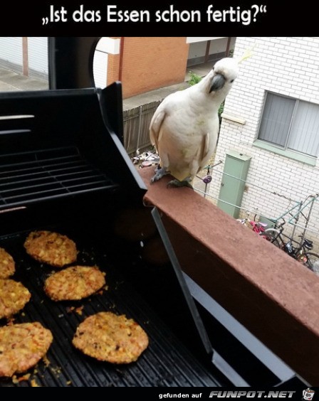 Essen schon fertig?