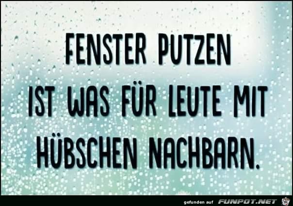 Fenster putzen