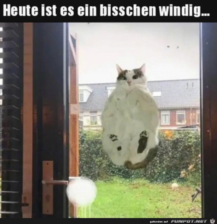 Es windet etwas