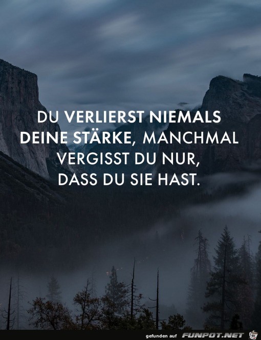 Stärke Stärke