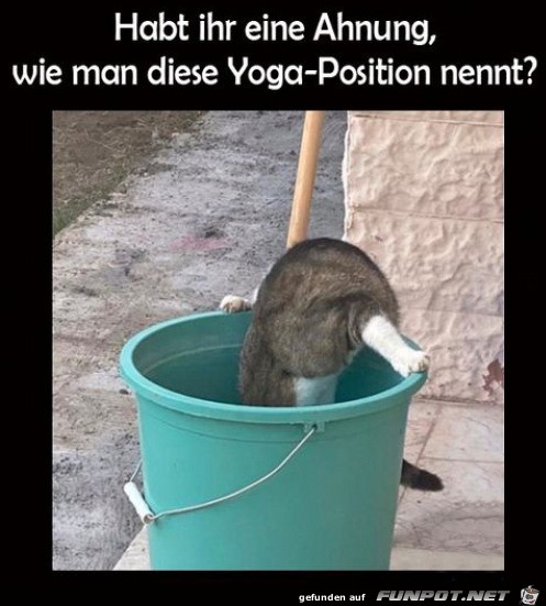 Lustige Yoga-Position