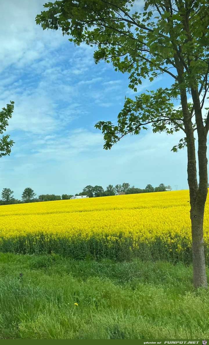 Auf der Insel Usedom