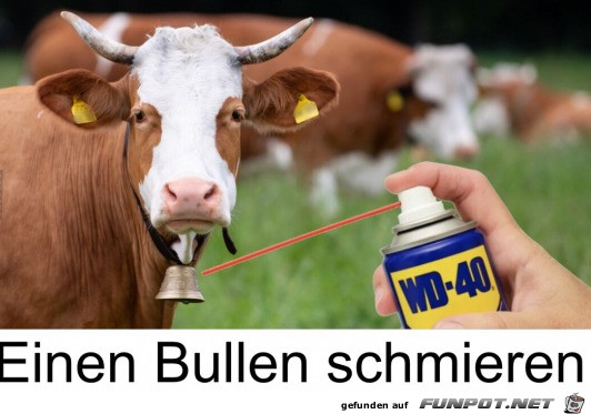 Schmieren