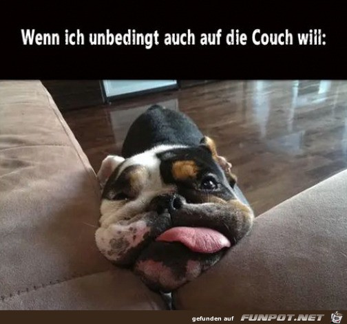 Will auch auf die Couch