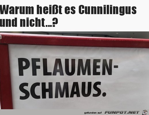 Pflaumenschmaus