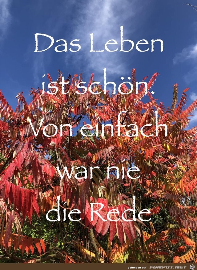 Das Leben ist schn