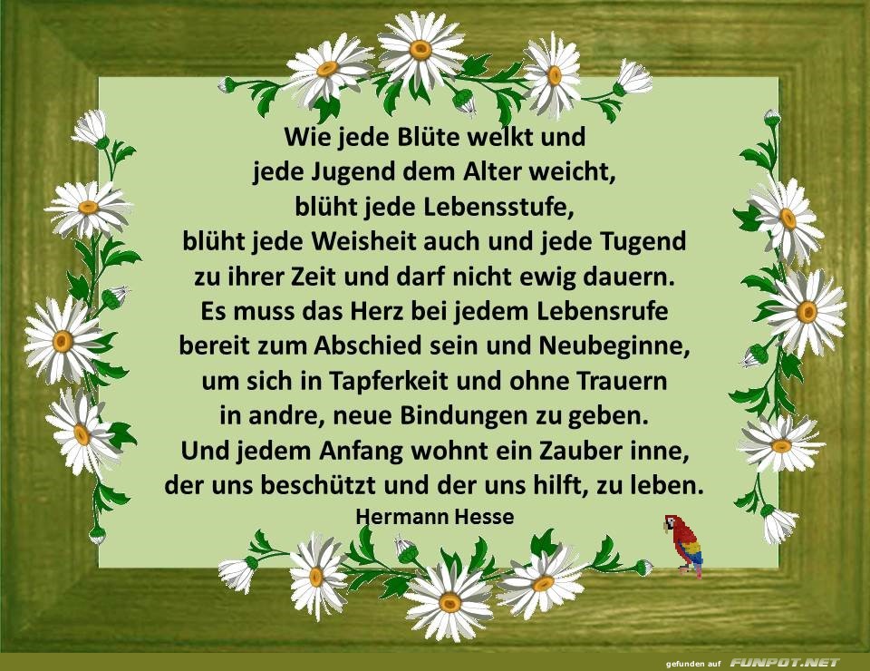 Hermann Hesse Hermann Hesse