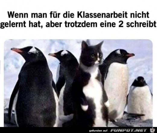 Nicht gelernt Nicht gelernt