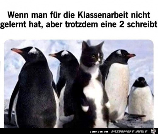 Nicht gelernt