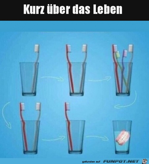 Das Leben in Krze