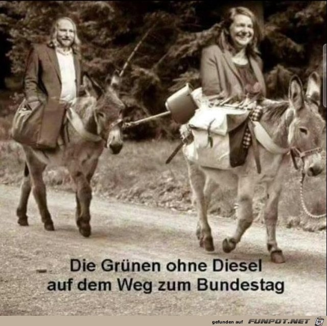 Die Grnen