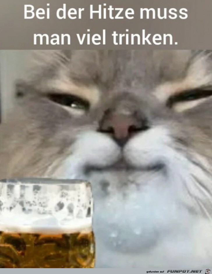 Viel trinken