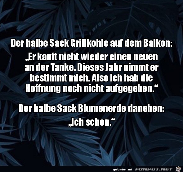 Der halbe Sack Grillkohle