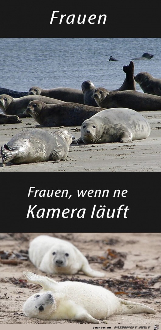 Frauen