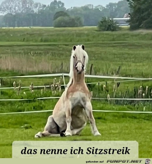 Sitzstreik