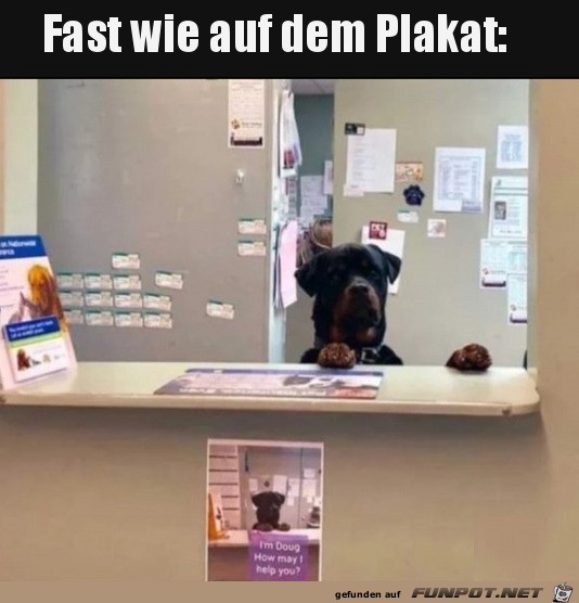 Wie auf dem Plakat