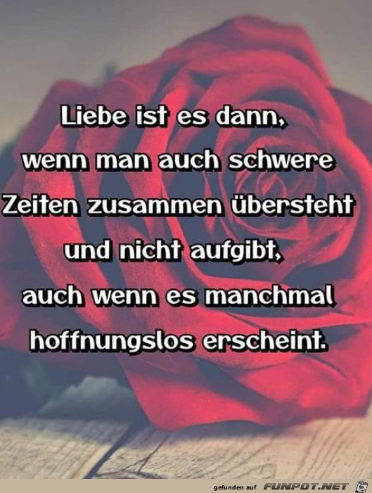 Liebe ist