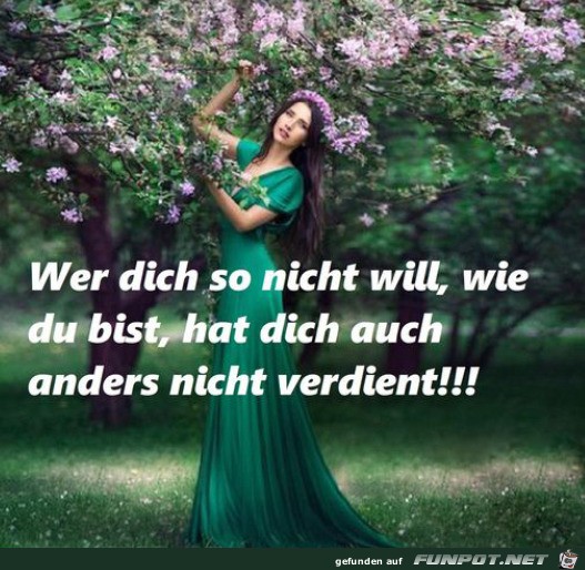 Wer dich so nicht will